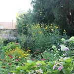 - Bunte Stadt Am Harz *