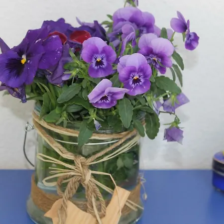 - Bunte Stadt Am Harz Appartamento