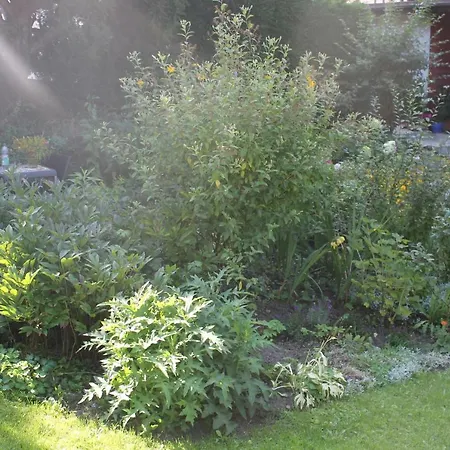 Apartman - Bunte Stadt Am Harz