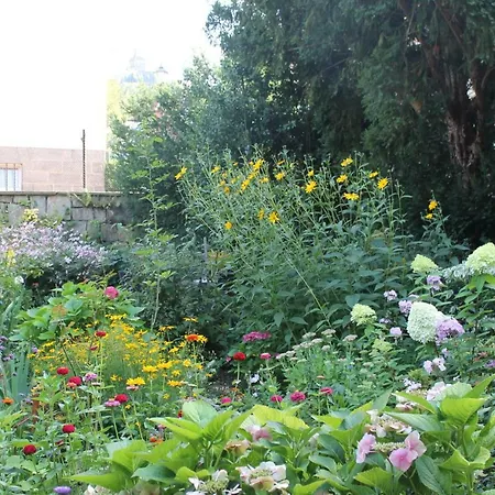 - Bunte Stadt Am Harz *