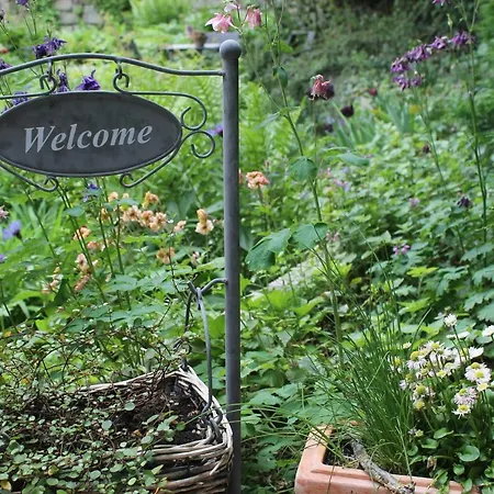 - Bunte Stadt Am Harz Appartamento