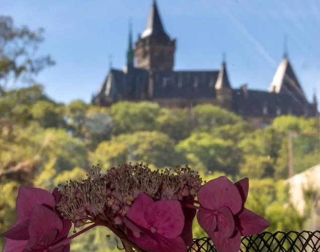 アパート - Bunte Stadt Am Harz