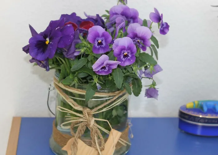 - Bunte Stadt Am Harz アパート