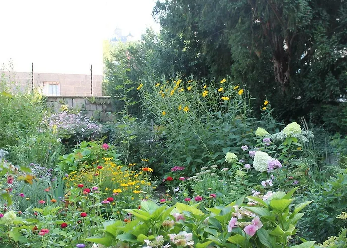 - Bunte Stadt Am Harz *